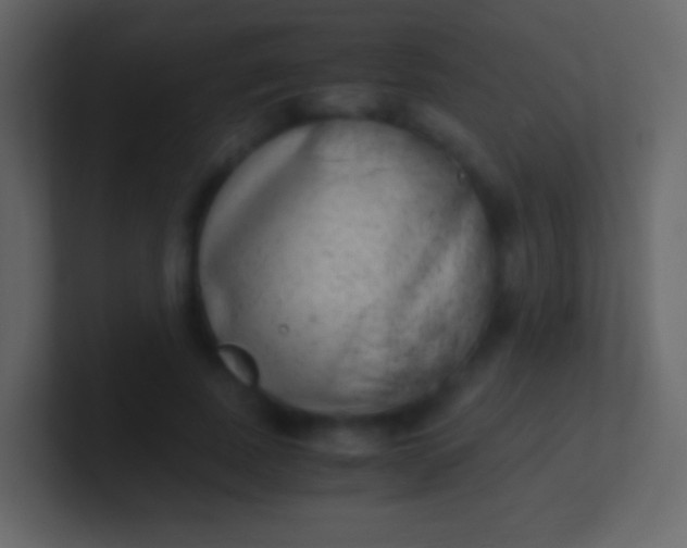 X0000100940739200807081234