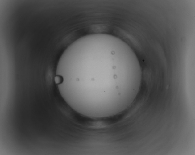 X0000100940741200807081234