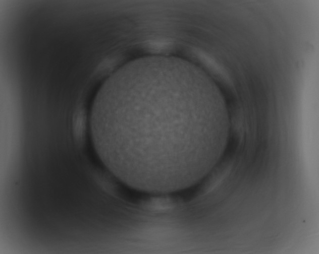 X0000100940744200807081234