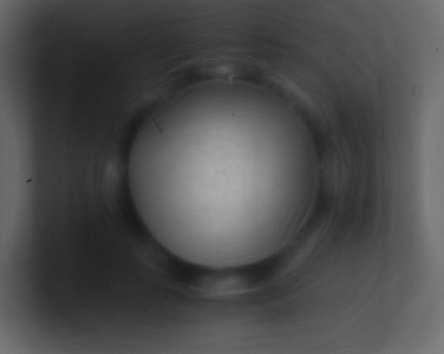 X0000100940747200807081234