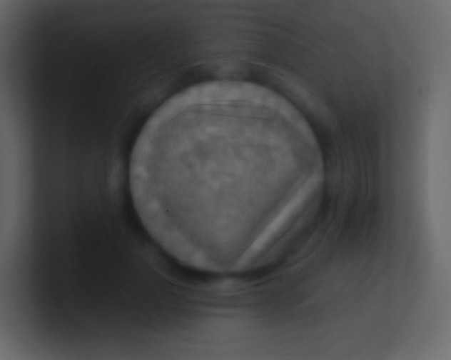 X0000100940748200807081234