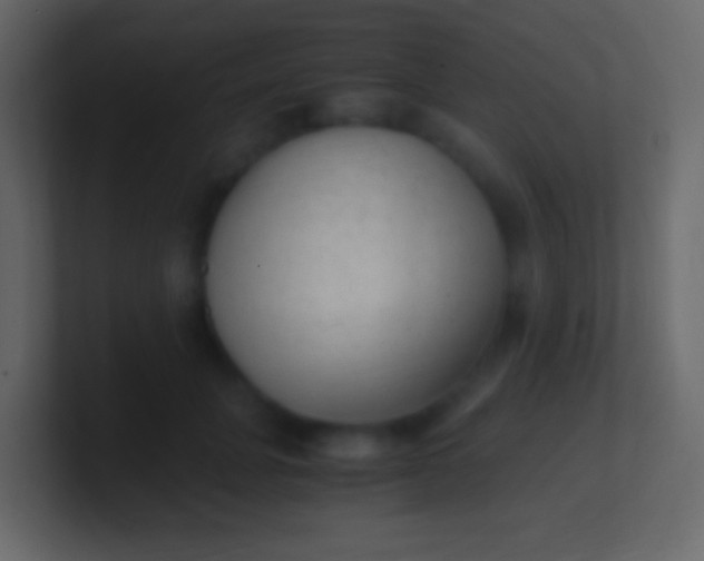 X0000100940751200807081234