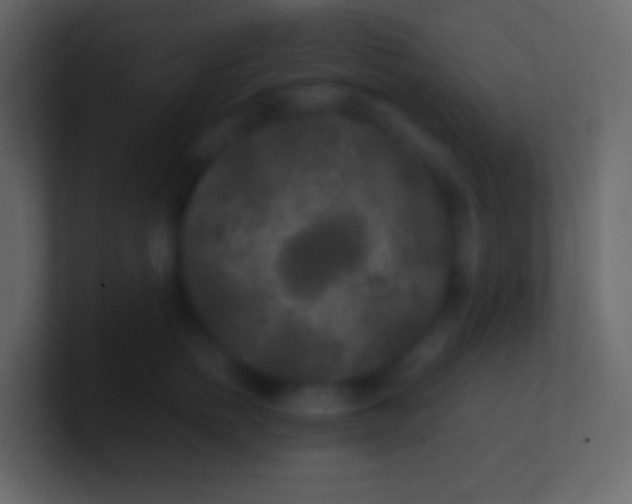 X0000100940758200807081234