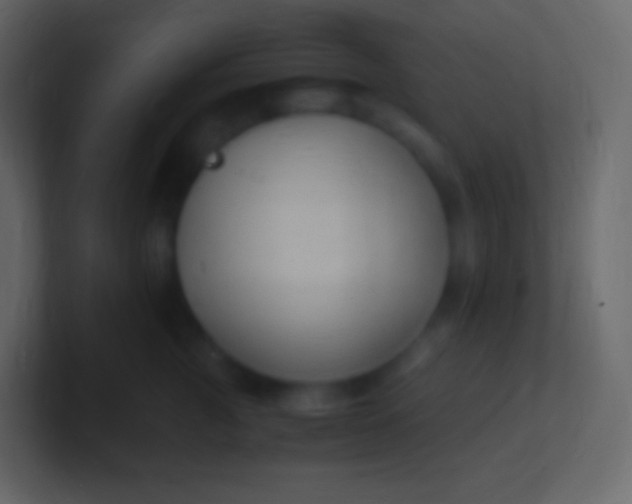 X0000100940761200807081234