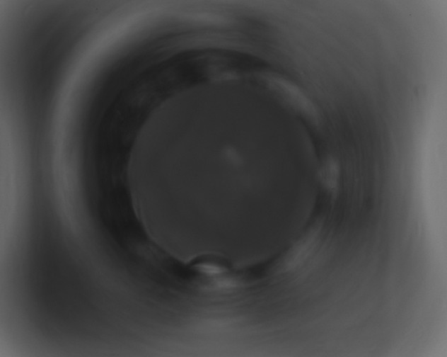 X0000100940763200807081234