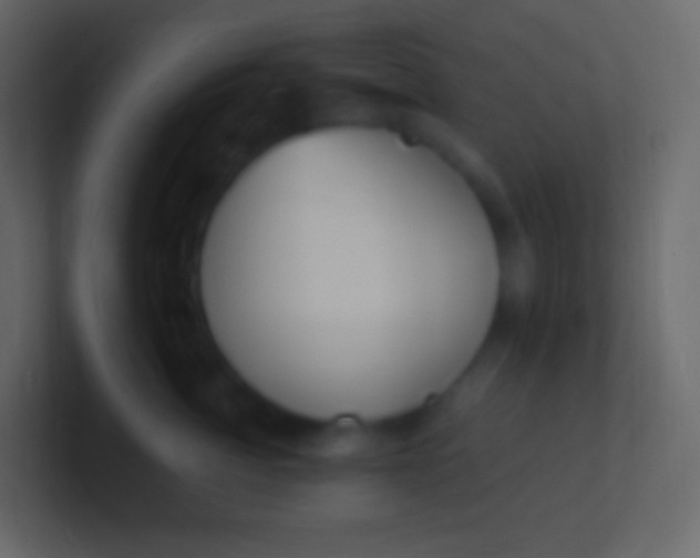 X0000100940764200807081234