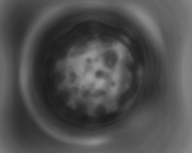 X0000100940765200807081234