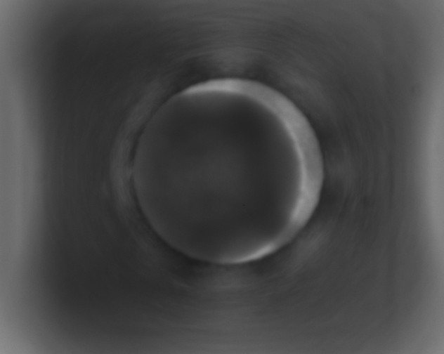 X0000100940769200807081234