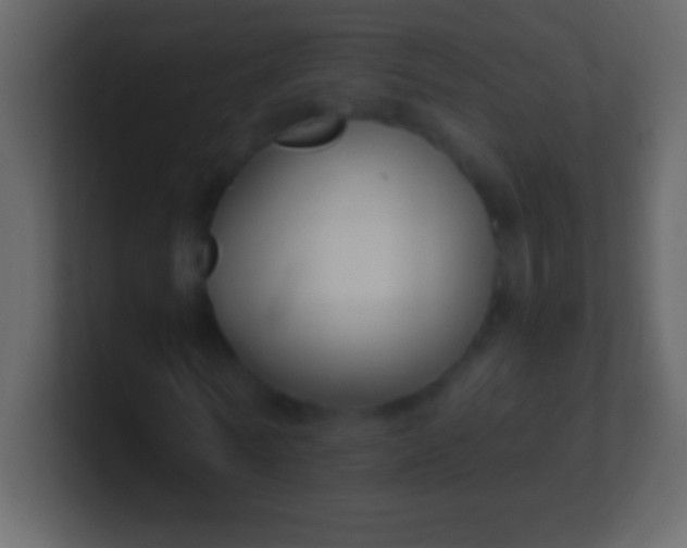 X0000100940770200807081234