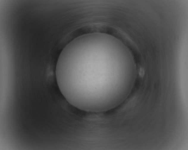 X0000100940771200807081234