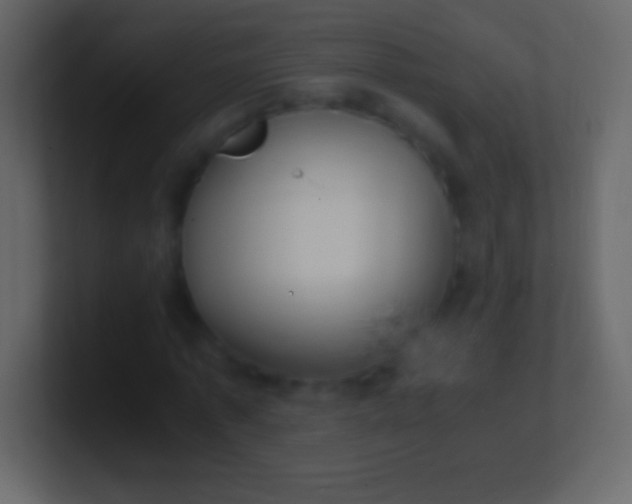 X0000100940773200807081234