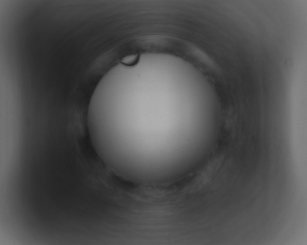 X0000100940774200807081234