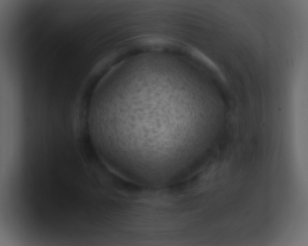 X0000100940775200807081234