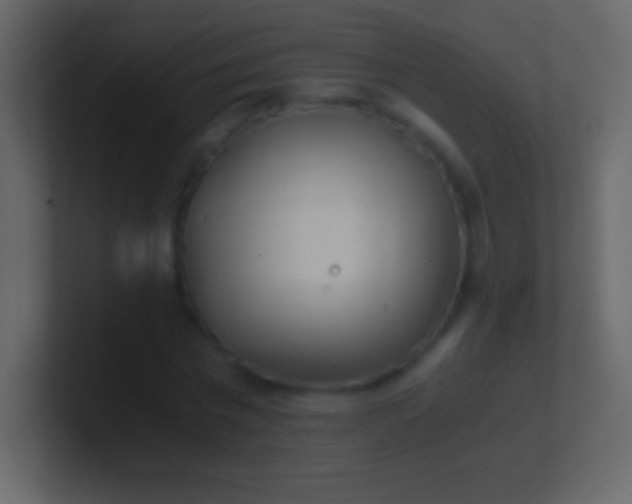 X0000100940777200807081234