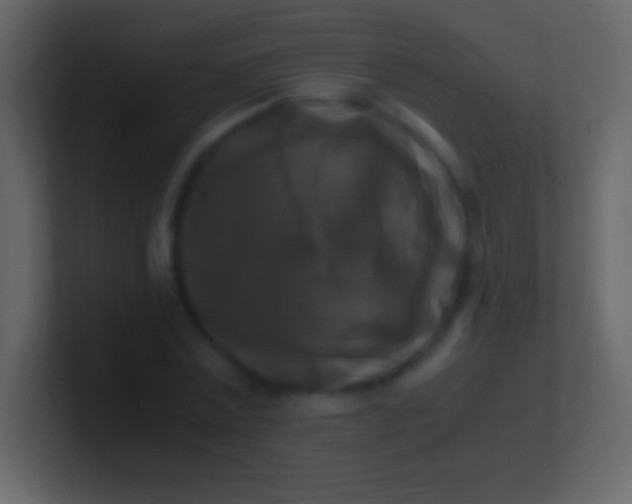 X0000100940779200807081234