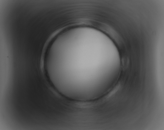 X0000100940780200807081234