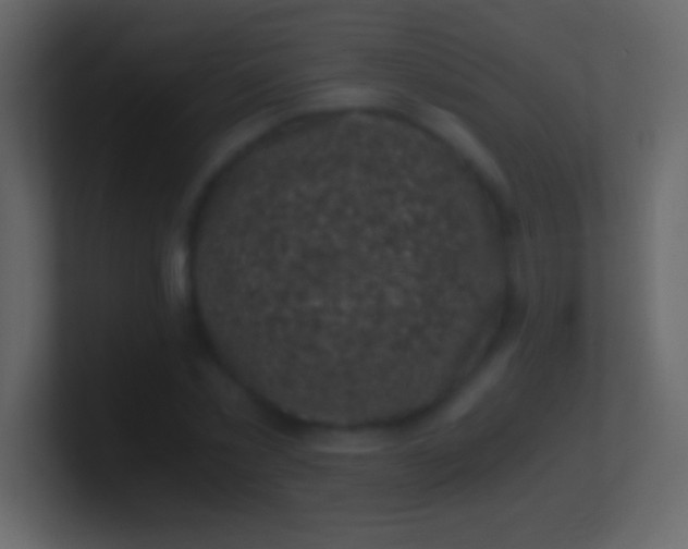 X0000100940781200807081234