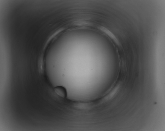 X0000100940782200807081234