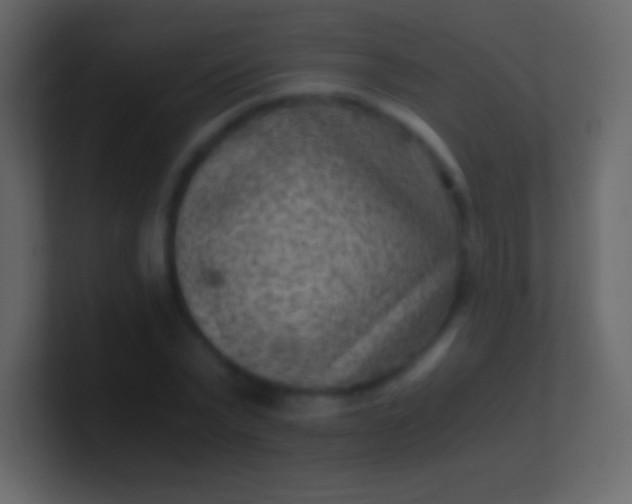 X0000100940783200807081234