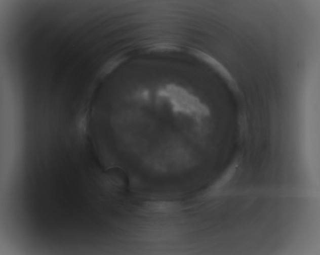 X0000100940785200807081234