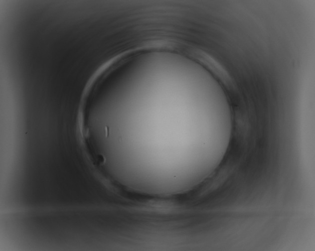 X0000100940788200807081234