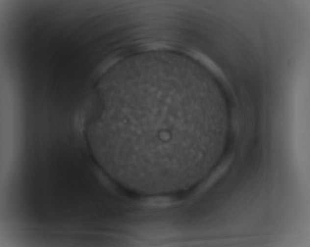 X0000100940793200807081233