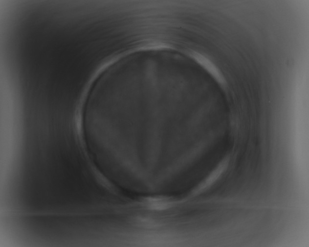 X0000100940797200807081233