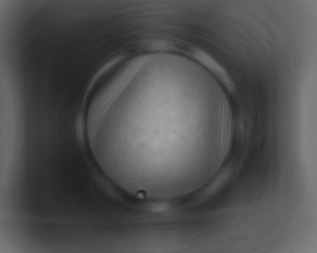 X0000100940798200807081233