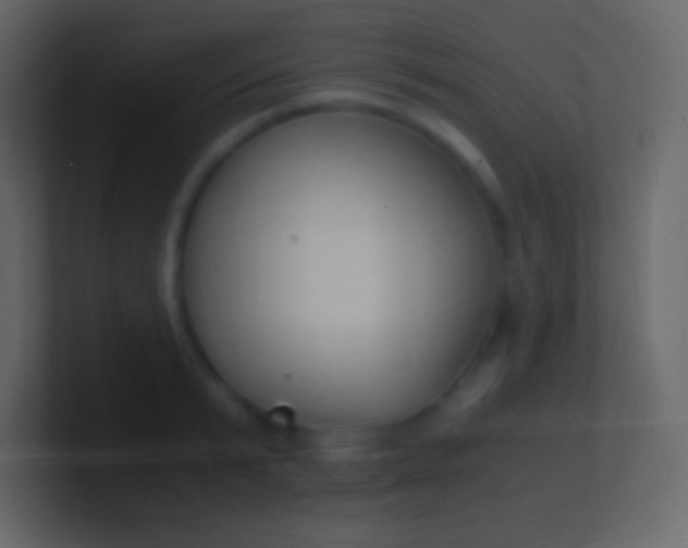 X0000100940799200807081233