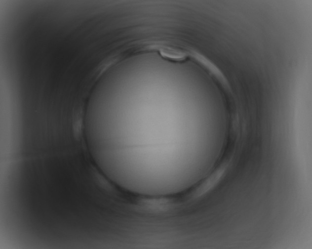 X0000100940801200807081233