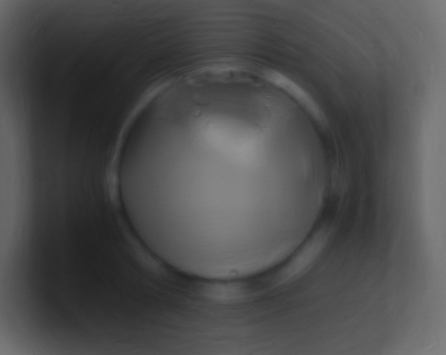 X0000100940802200807081233