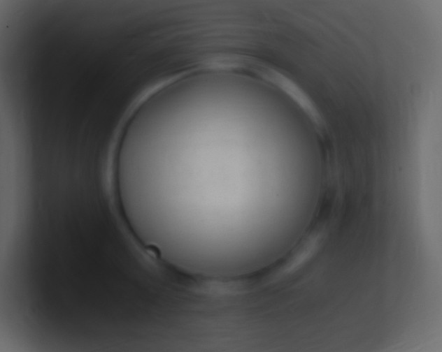 X0000100940803200807081233