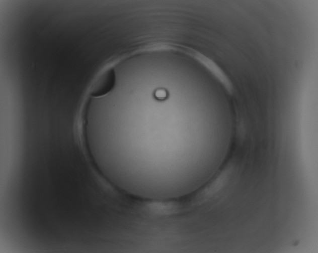 X0000100940805200807081233