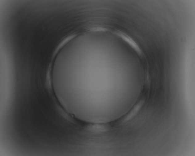 X0000100940806200807081233