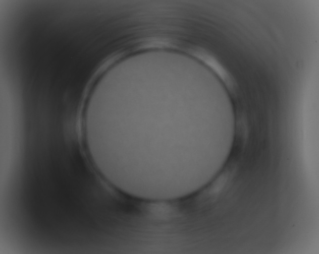 X0000100940807200807081233