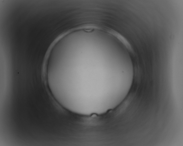 X0000100940808200807081233