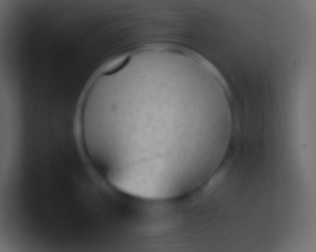 X0000100940811200807081233