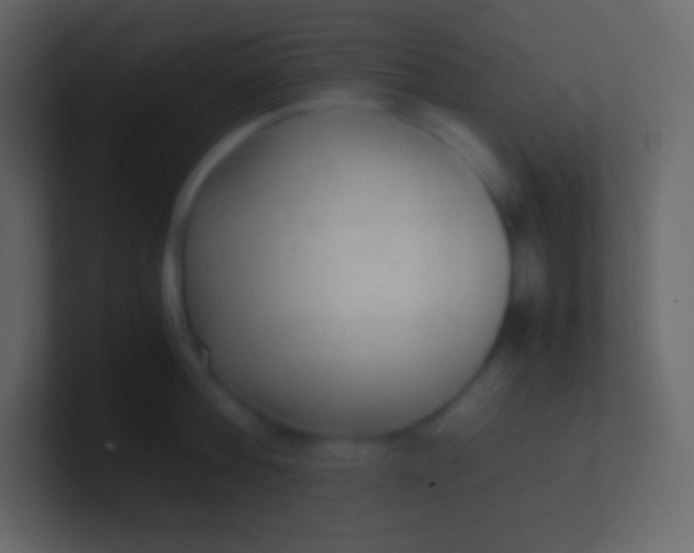 X0000100940812200807081233