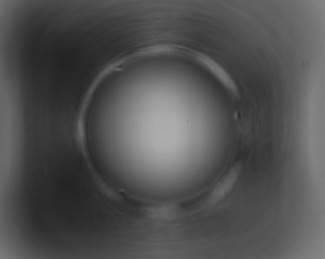 X0000100940813200807081233