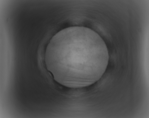 X0000100940817200807081232