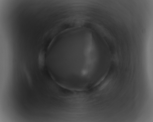 X0000100940818200807081232