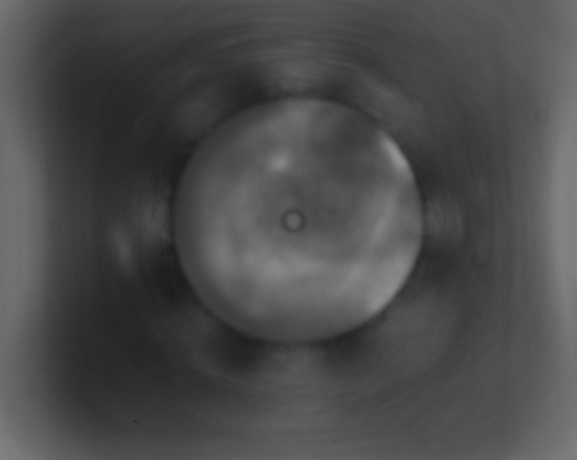 X0000100940820200807081232