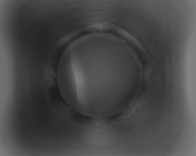 X0000100940822200807081233