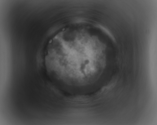 X0000100940823200807081233