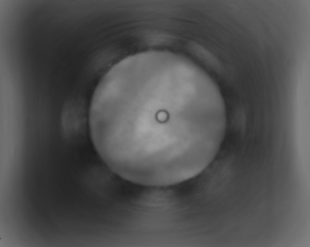 X0000100940824200807081233