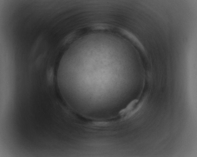 X0000100940825200807081233