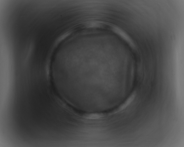 X0000100940826200807081233