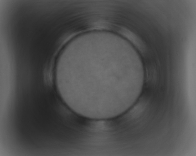 X0000100940828200807081233