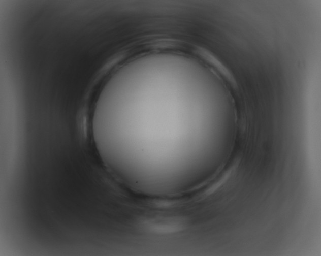 X0000100940829200807081233