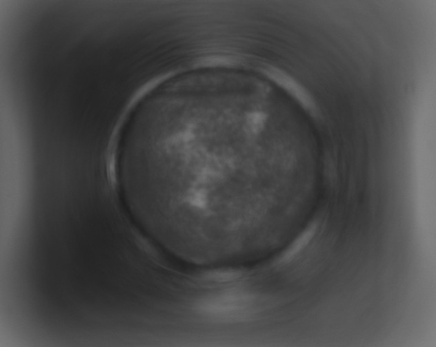 X0000100940830200807081233